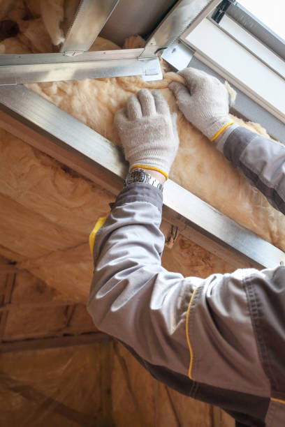 Best Insulation Contractor Near Me  in Magnolia, AR