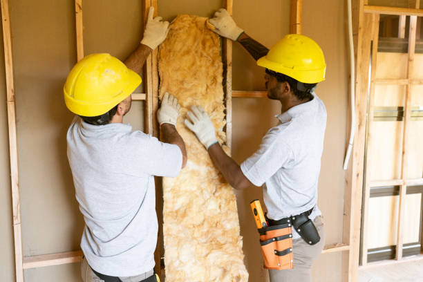 Best Garage Insulation Installation  in Magnolia, AR
