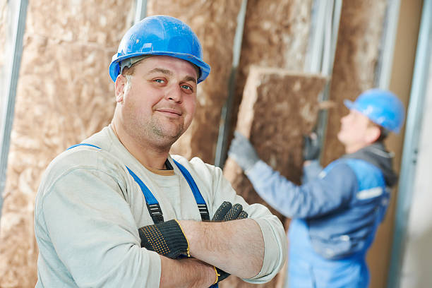 Best Cellulose Insulation  in Magnolia, AR