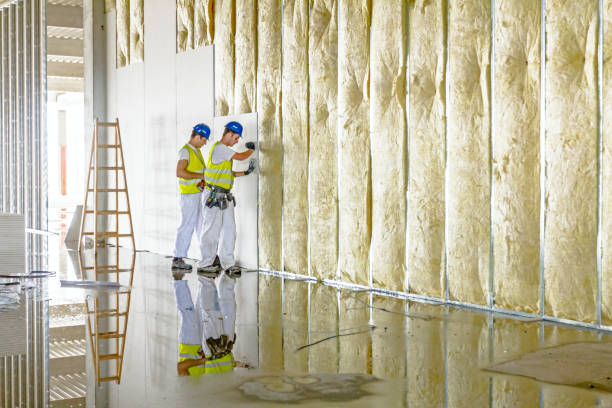 Best Insulation for New Construction  in Magnolia, AR